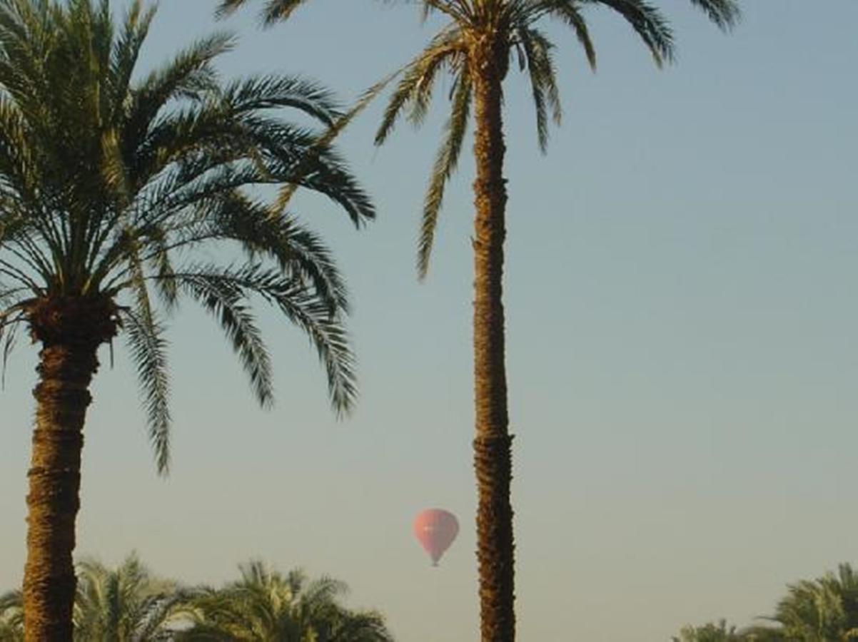 לוקסור El Nakhil Hotel מראה חיצוני תמונה