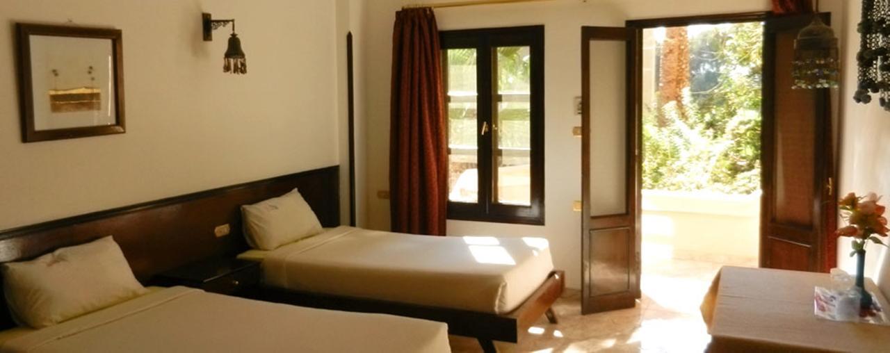 לוקסור El Nakhil Hotel מראה חיצוני תמונה
