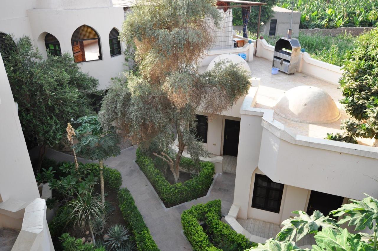 לוקסור El Nakhil Hotel מראה חיצוני תמונה