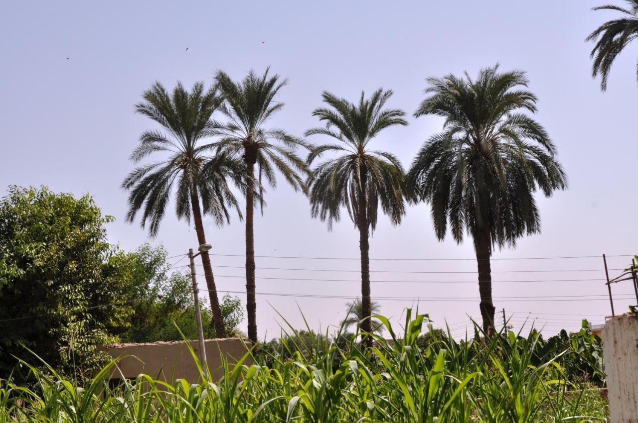 לוקסור El Nakhil Hotel מראה חיצוני תמונה
