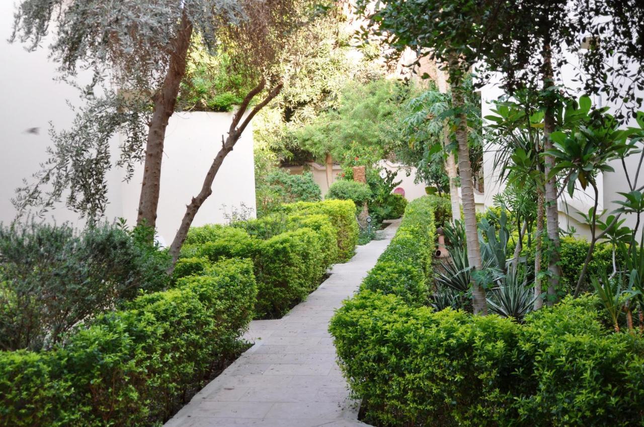 לוקסור El Nakhil Hotel מראה חיצוני תמונה