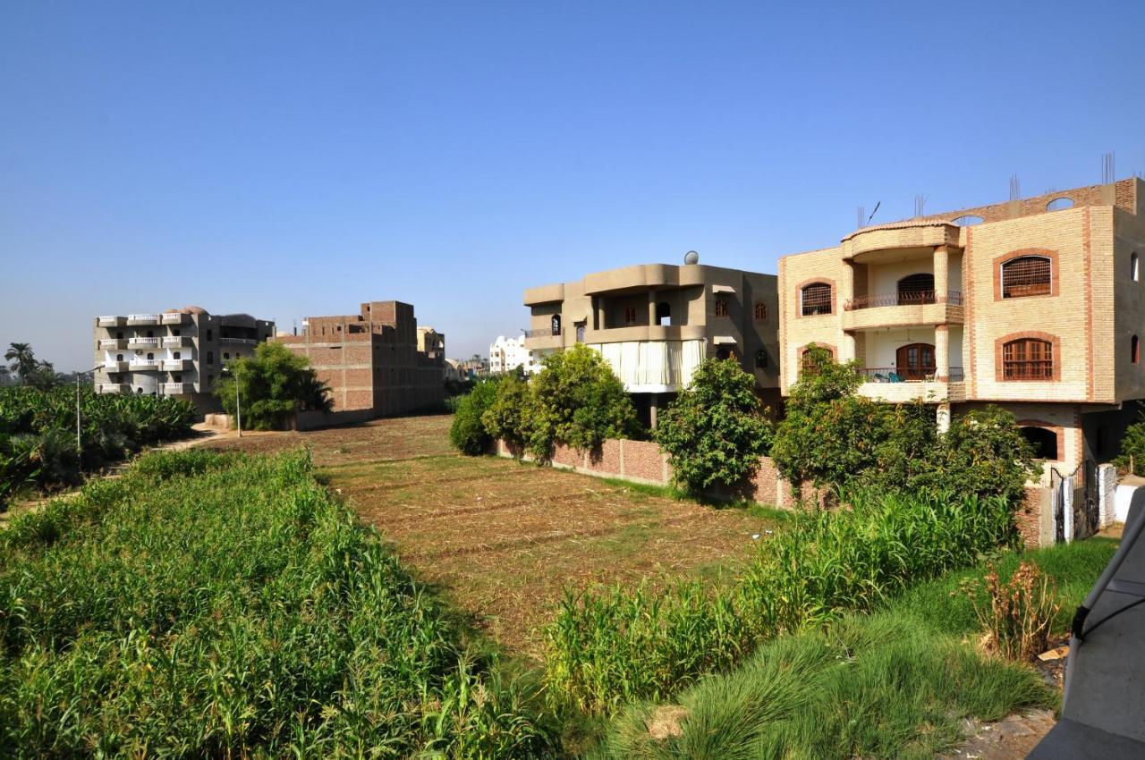 לוקסור El Nakhil Hotel מראה חיצוני תמונה