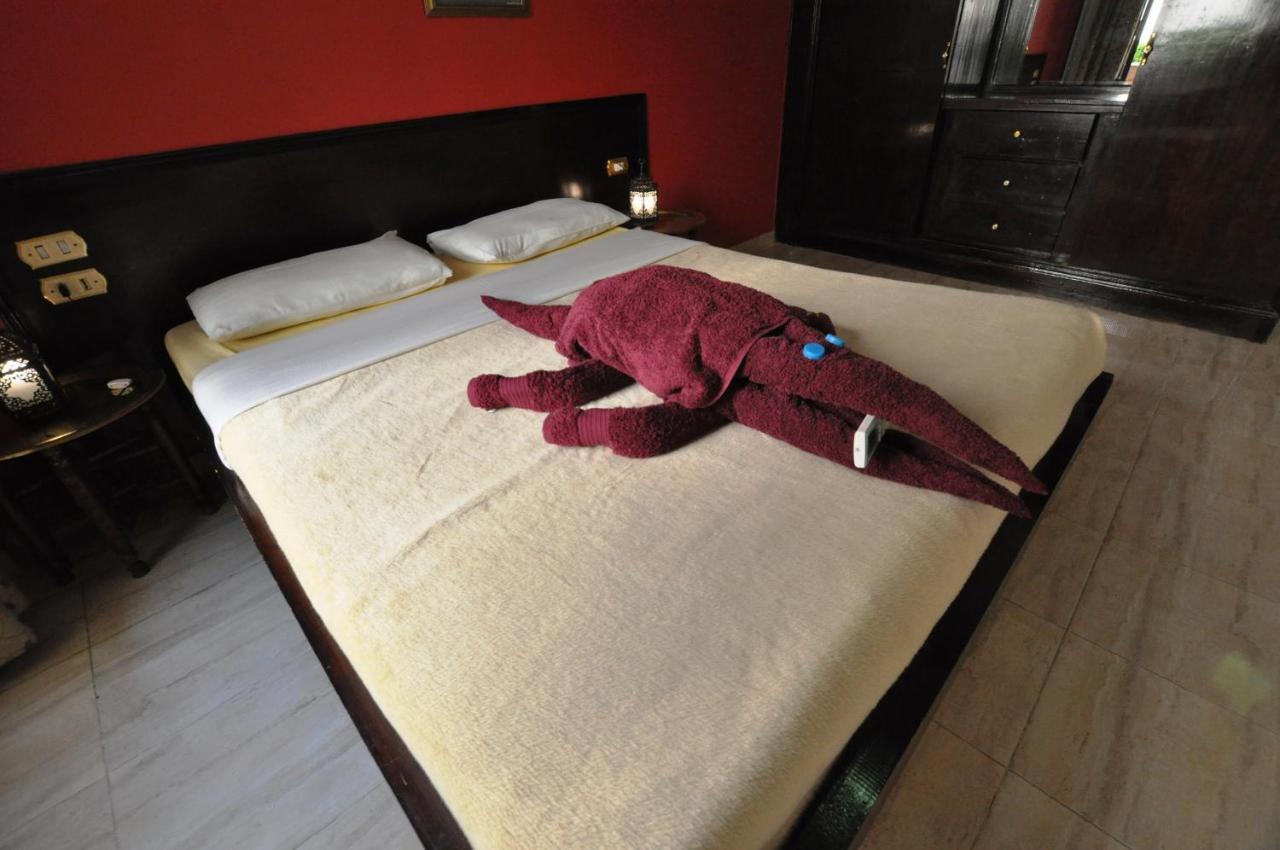 לוקסור El Nakhil Hotel מראה חיצוני תמונה